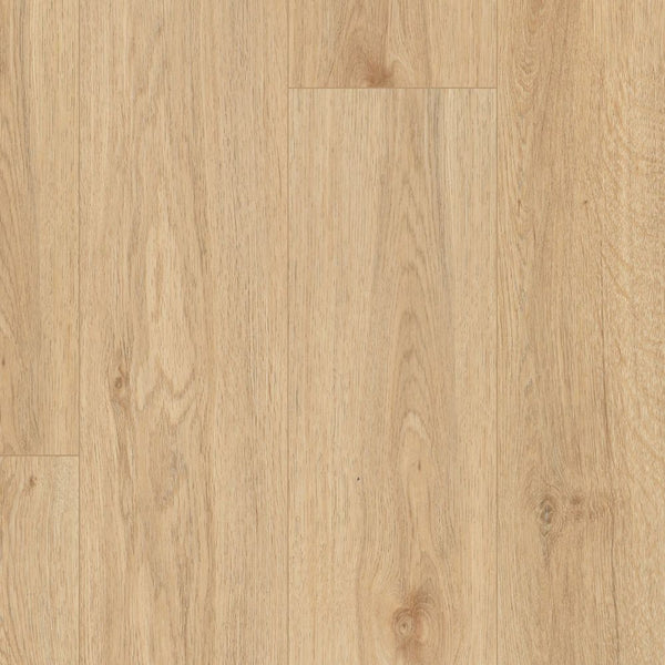 Springfield Oak - COREtec Pro Plus, waterproof luxury vinyl flooring.